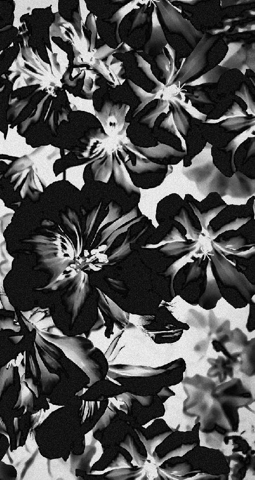 Fleurs in Black